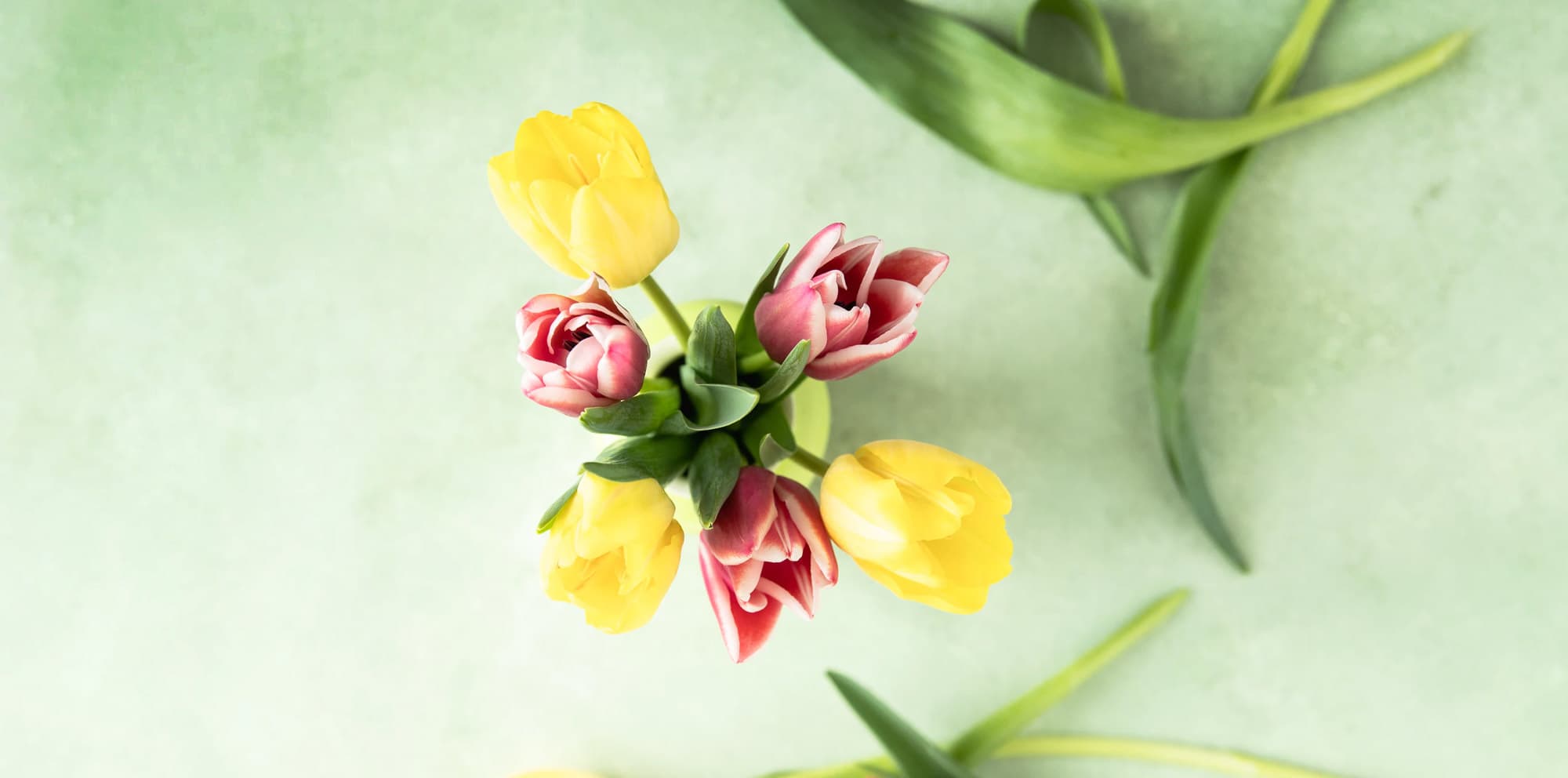 Fiorista a Genova per composizioni fiori e piante