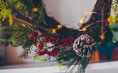 Piante decorative Natale