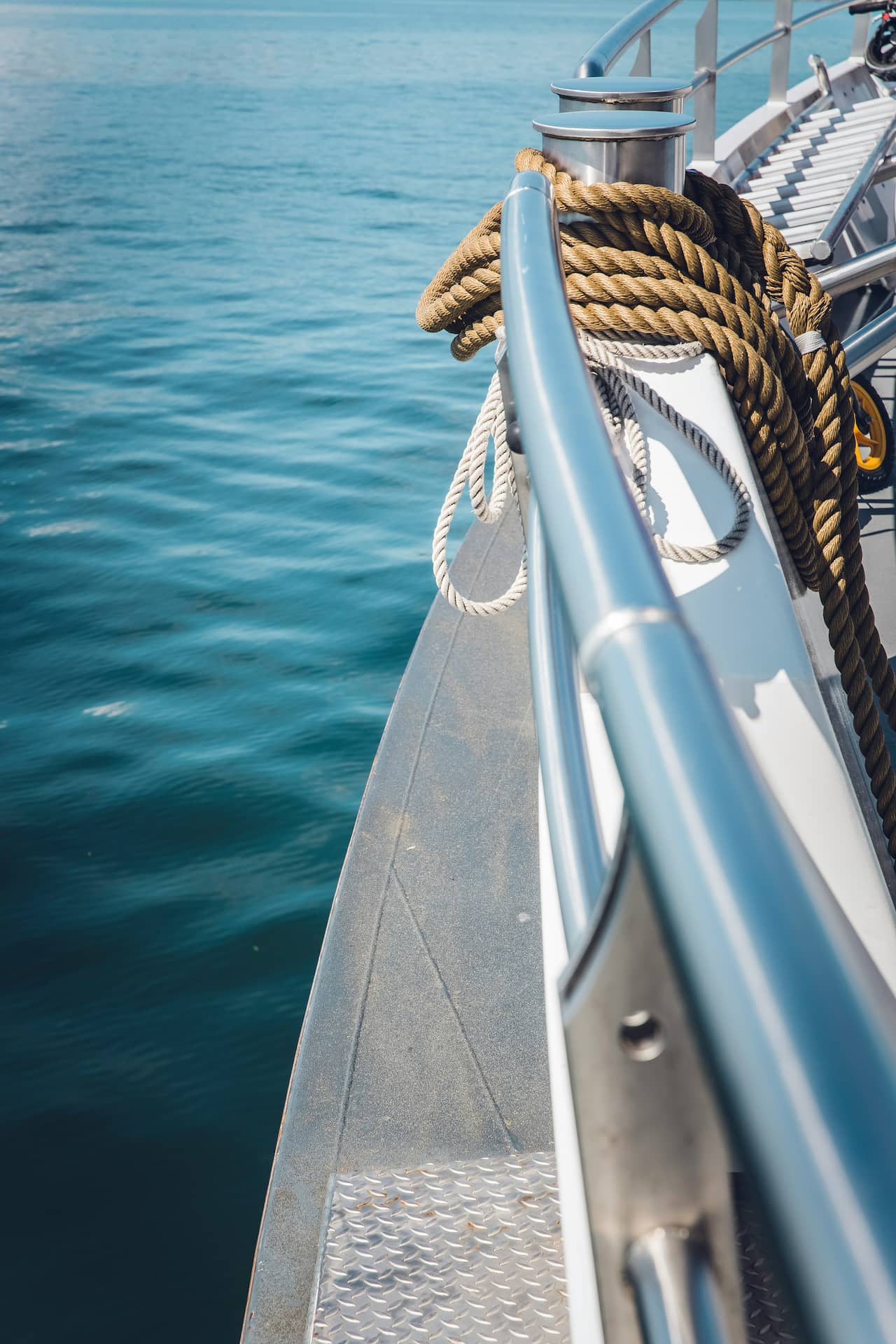 Fiori per Yacht